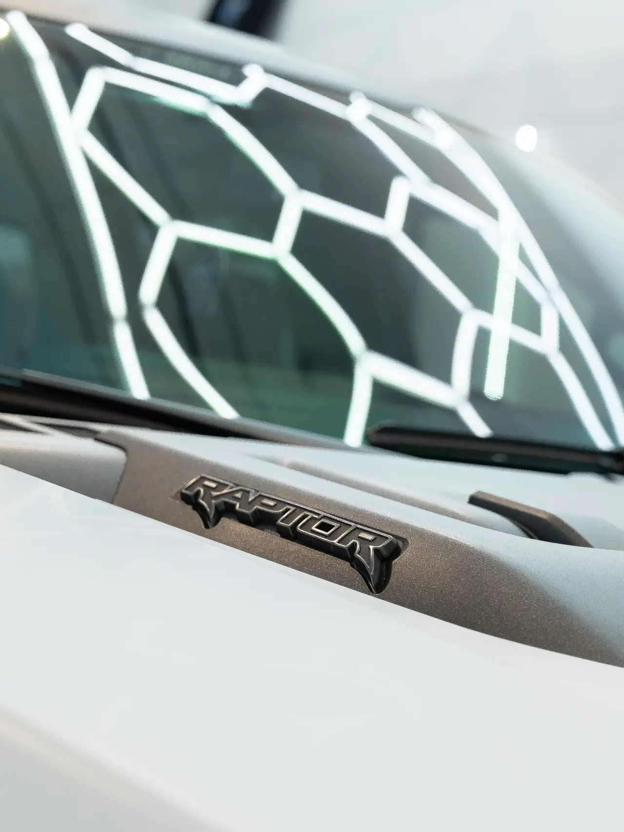 Ford Raptor Stealth PPF finish Central MA